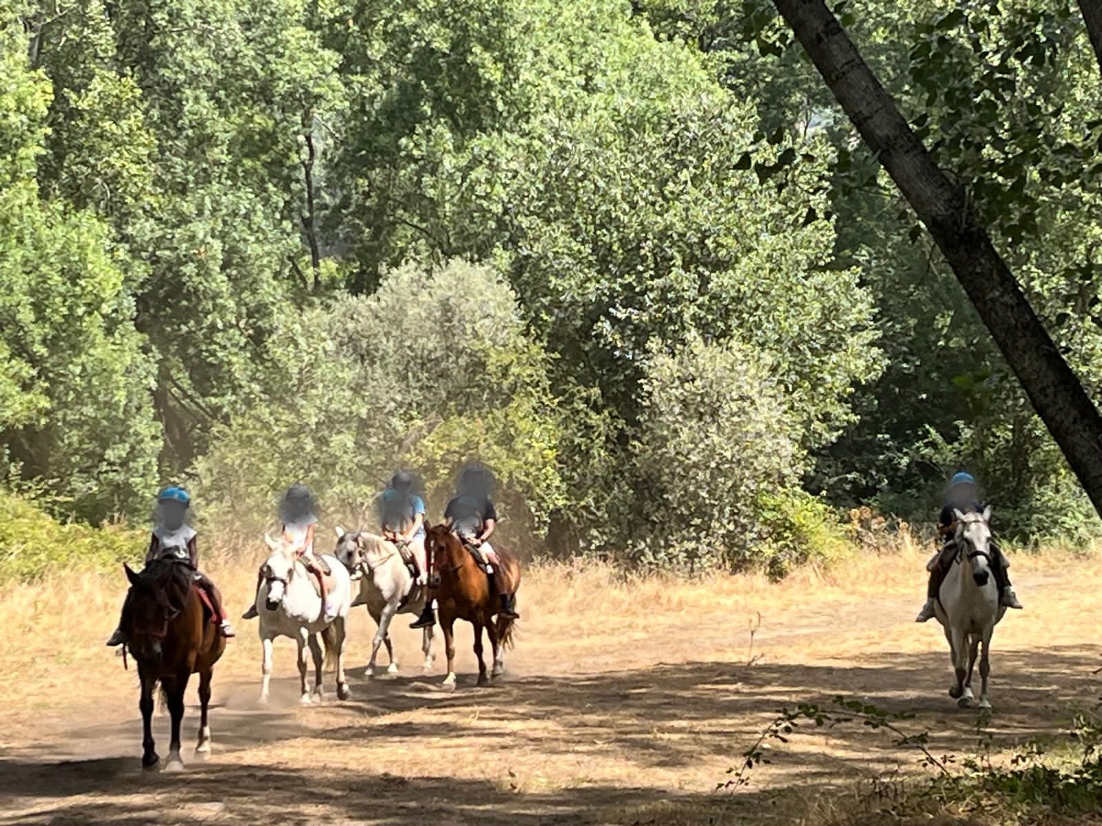 Jardín del Sauce en el Valle del Jerte. Junio 2026